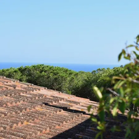 Casa Le Bouganville Holiday home Sant Vicenc de Montalt
